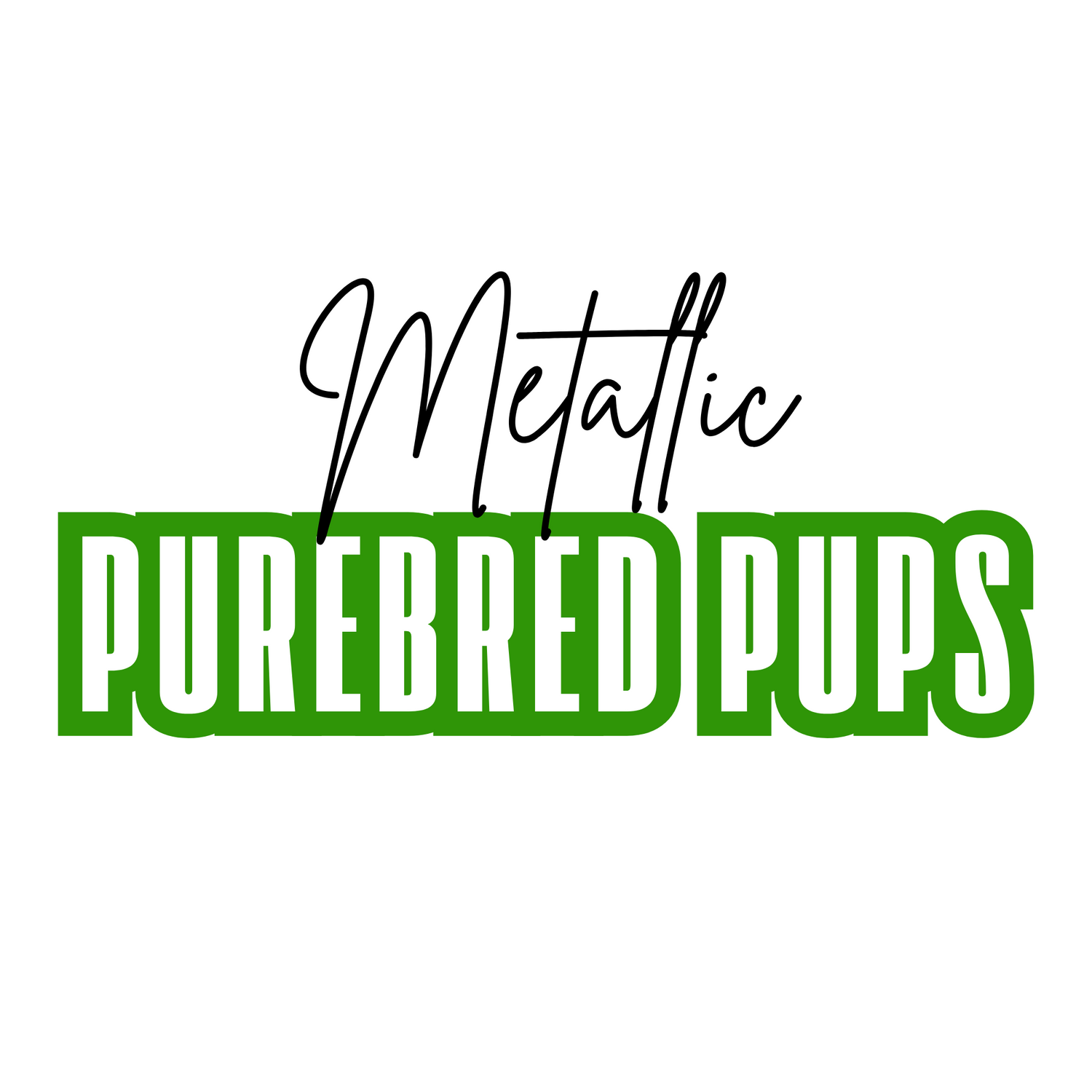 Metallic Purebred Pups