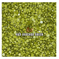 Avocado Grove - DMC 469