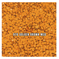 Golden Brown - DMC 976