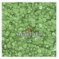 Forest Floor - DMC 989