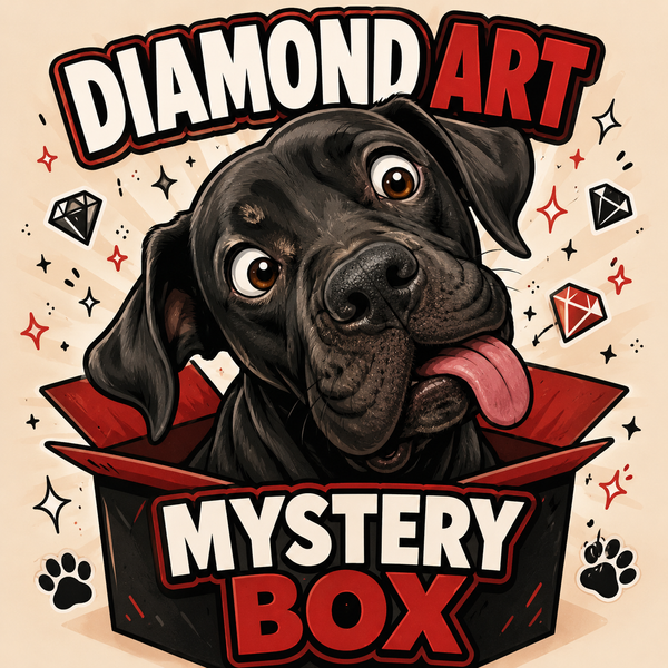 Diamond Art Mystery Box