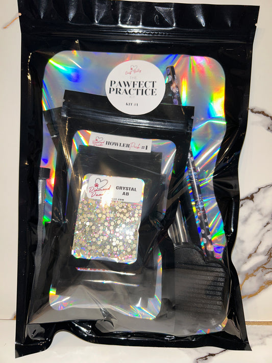 The PAWfect Practice Kit