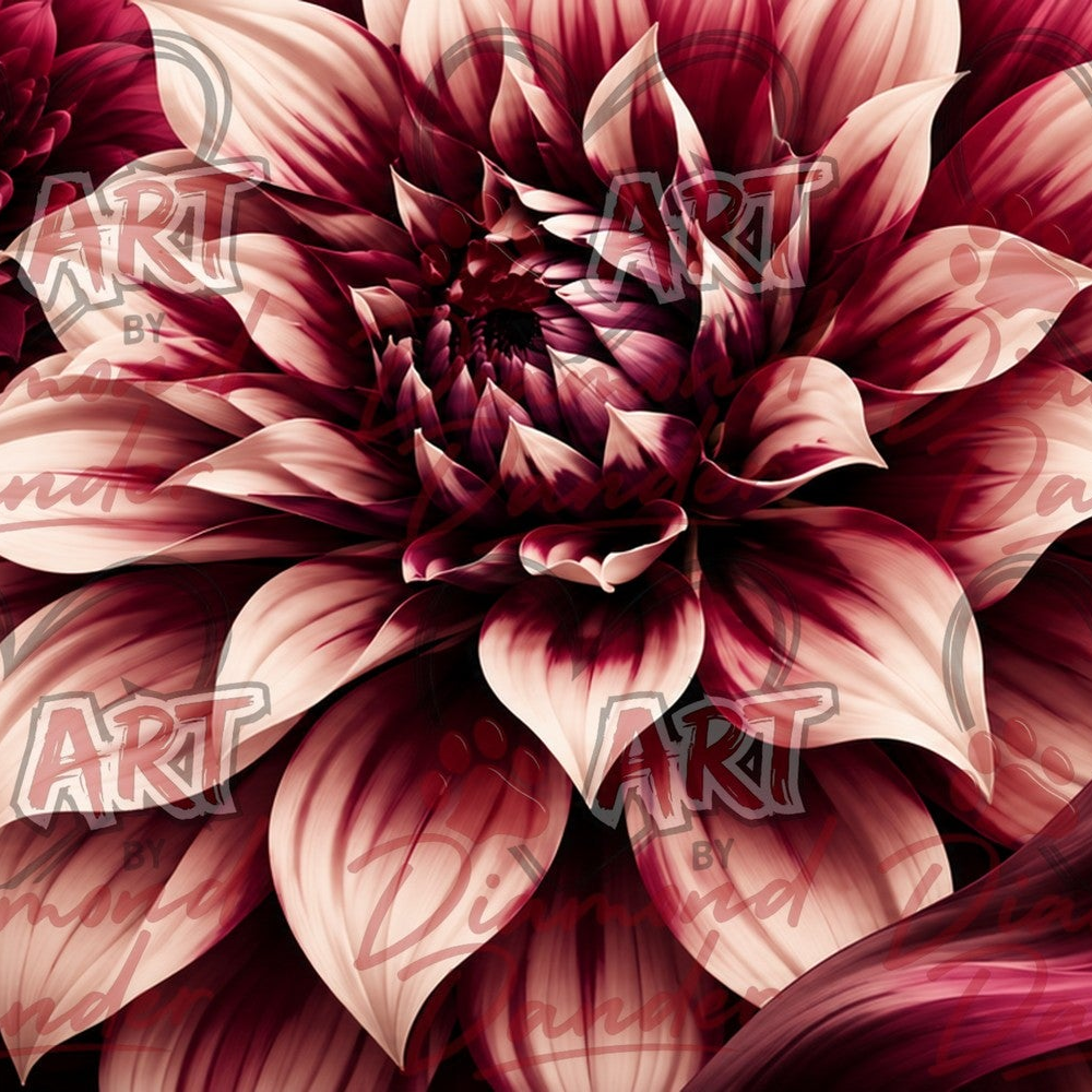 Art By Diamond Dander - Velvet Dahlia