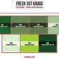 Fresh Cut Grass Diamond Dander Scoop Bundle