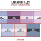 Lavender Fields Diamond Dander Scoop Bundle