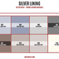 Silver Lining Diamond Dander Scoop Bundle